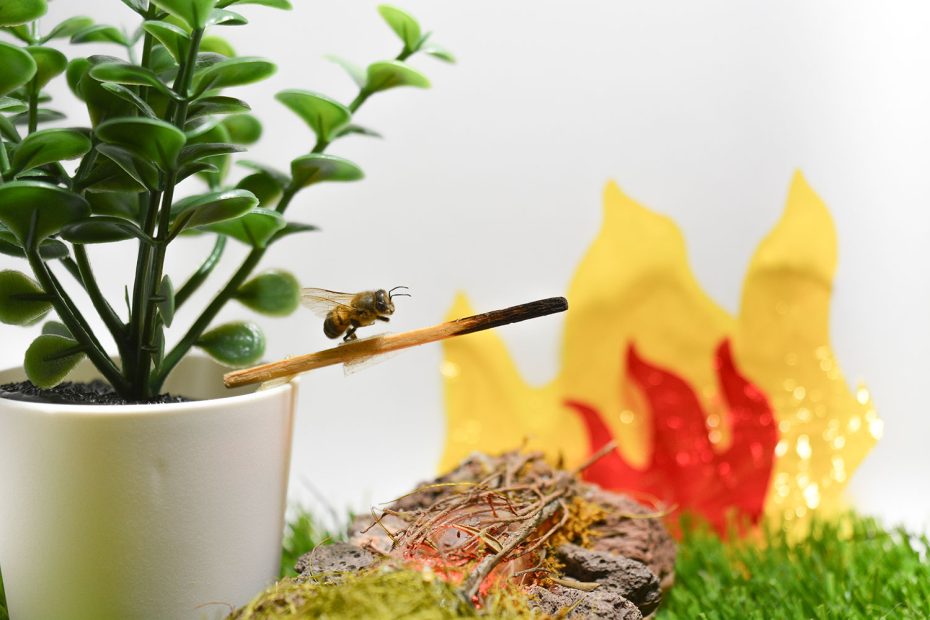 Fotografía conceptual de una abeja provocando un incendio